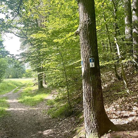 Landhotel Hubertus Unterelsbach Eksteriør billede
