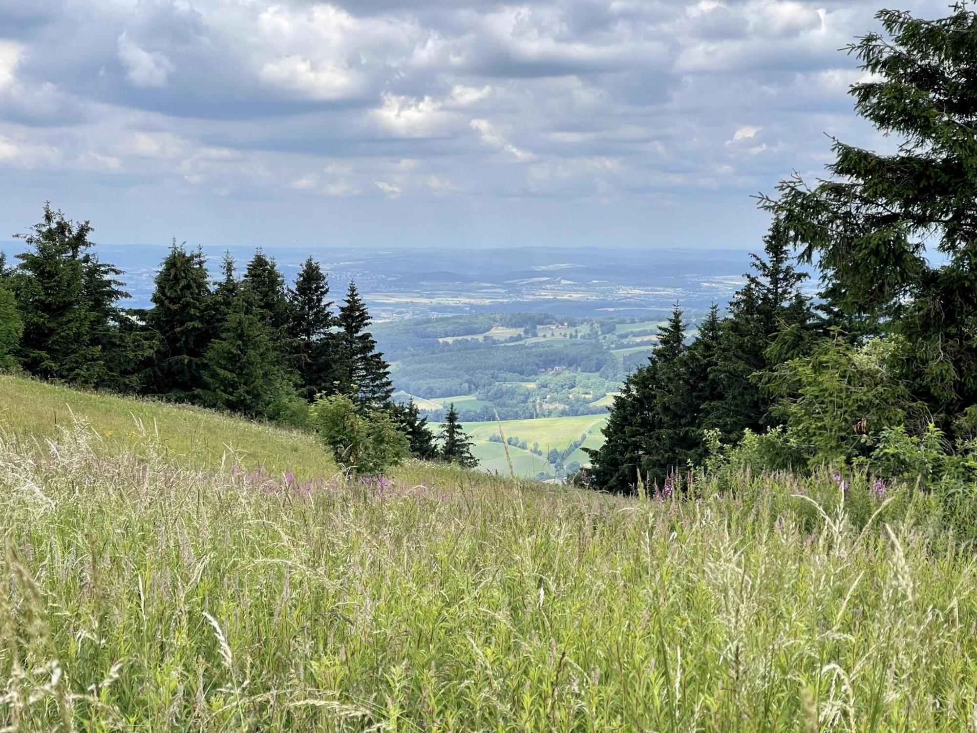 Landhotel Hubertus Unterelsbach Eksteriør billede