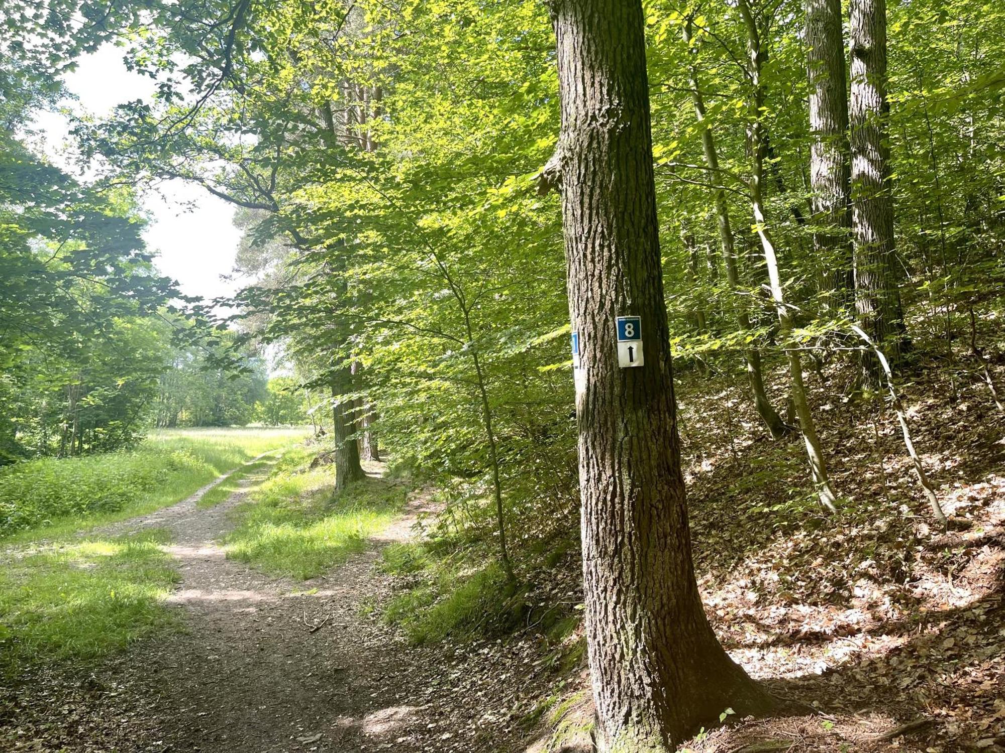 Landhotel Hubertus Unterelsbach Eksteriør billede