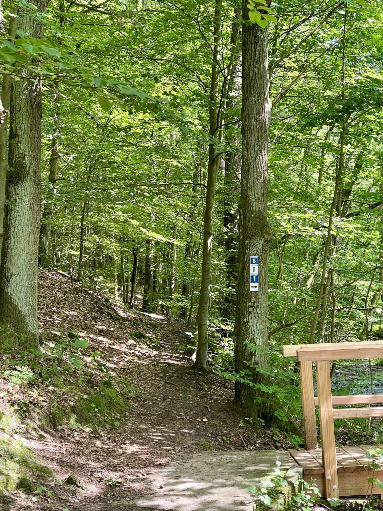 Landhotel Hubertus Unterelsbach Eksteriør billede